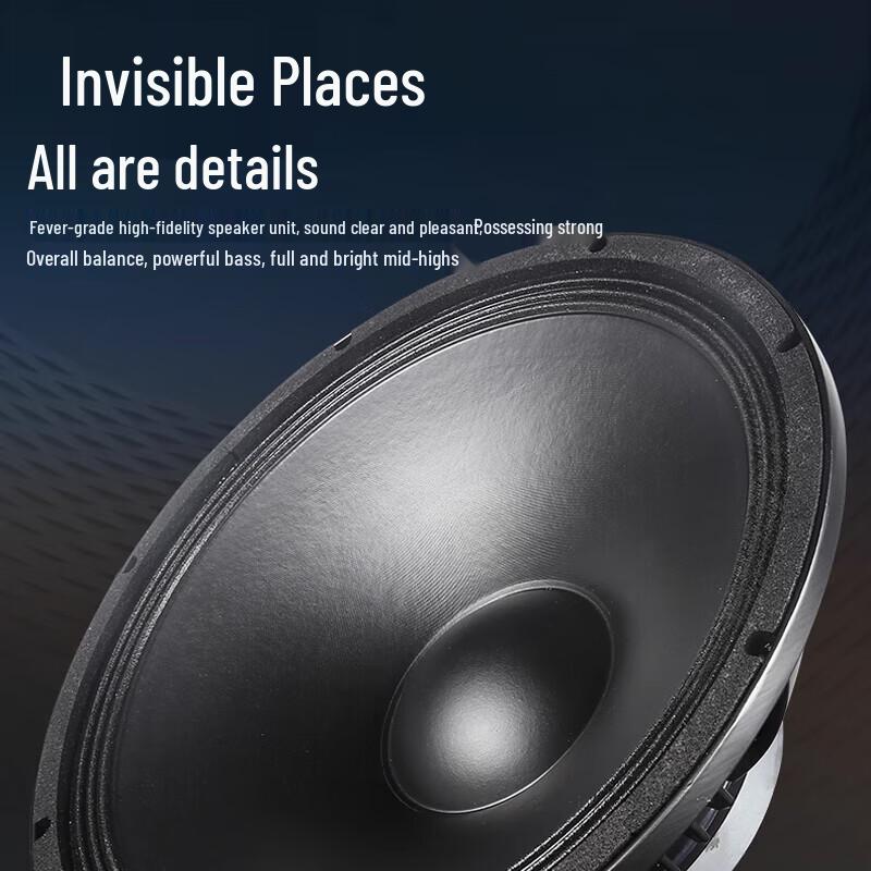 HuiDu Professional Conference & Stage Monitor Speaker ST-10CF Series (CN Version)