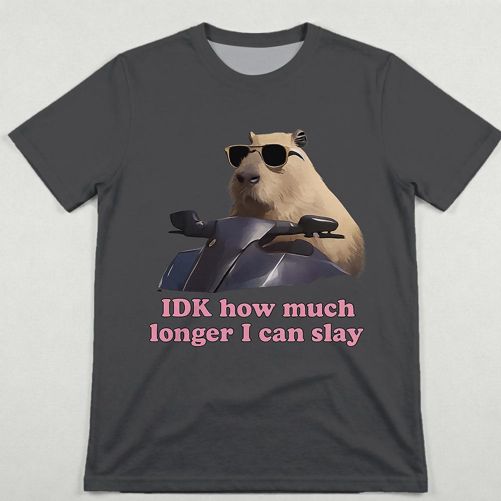 Funny Capybara Meme TShirt IDK How Much Longer I Can Slay Men Women Y2K Streetwear Summer Casual ShortSleeve Wide TShirt