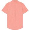 Polo Ralph Lauren Logo Embroidered Single-Breasted Short Sleeve Shirt Men shirts Nautical-Red 710842642-005