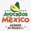 Avocados From Mexico Avocado Iron on Heat Transfer Printing Vinyl Patches Sticker for Clothes DIY Appliques Washable Patches