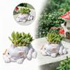 Ornament Resin Cat Succulent Flowerpot Creative Multifunction Garden Potted Cartoon Cat Decorative Planter Living Room