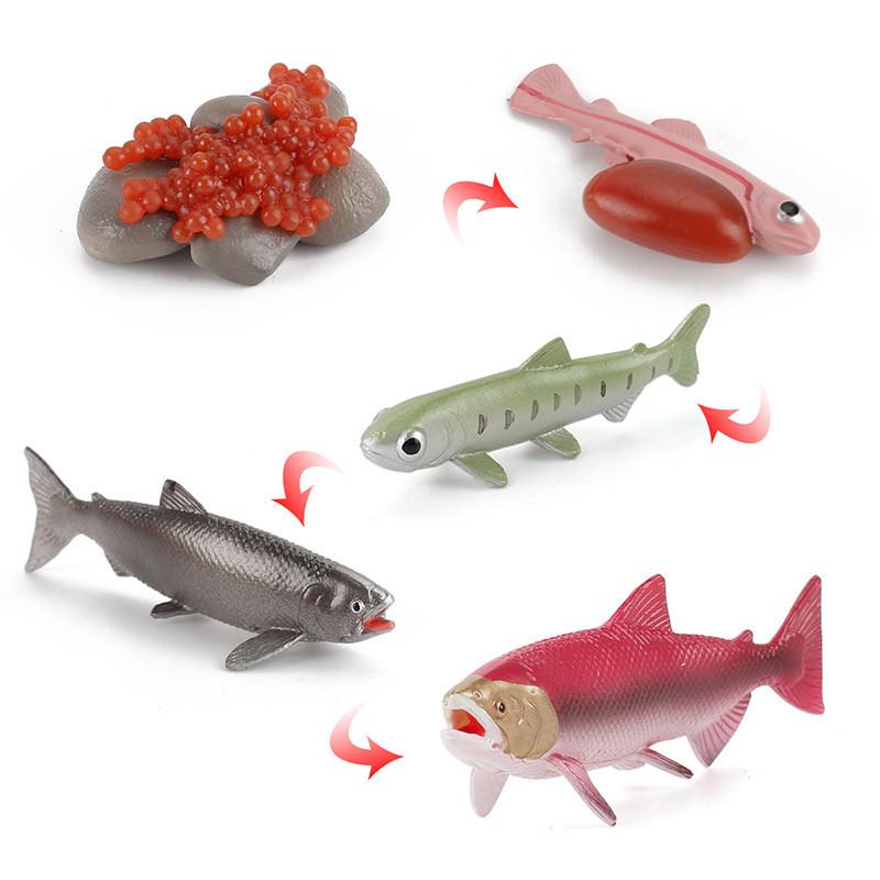 Childrens Educational Animal And Insect Growth Cycle Pvc Earthworm Octopus Model Set For Kids Learning And Activities