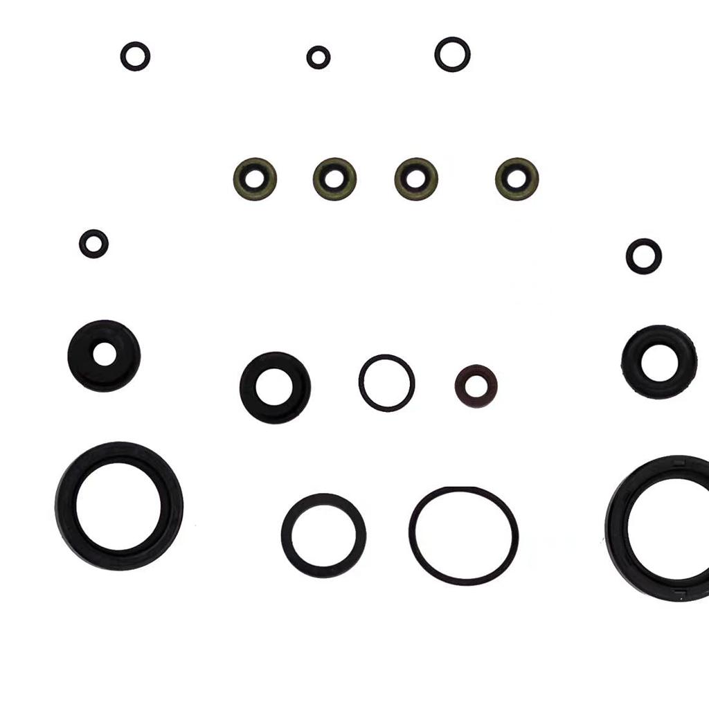 Kompletny zestaw uszczelek silnika do Briggs & Stratton 841188 Zastępuje # 304447 305440 305442 305447 305777 Zestaw uszczelek silnika, uszczelek zaworów, O-ringów do silnika urządzenia