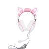 Gaming Headset Wired PC RGB Luminous Noise Reduction Over Ear Headphones with Mic
