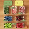 Record Time Vegetable Fruit Crisper Case Fresh-keeping Vegetable Washing Basin  Fridge