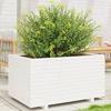 VidaXL Planter White 90x60x49.5 Cm Solid Pine Wood, Outdoor Planter, Flower Box, Tomato Planter, Planter of 3282565
