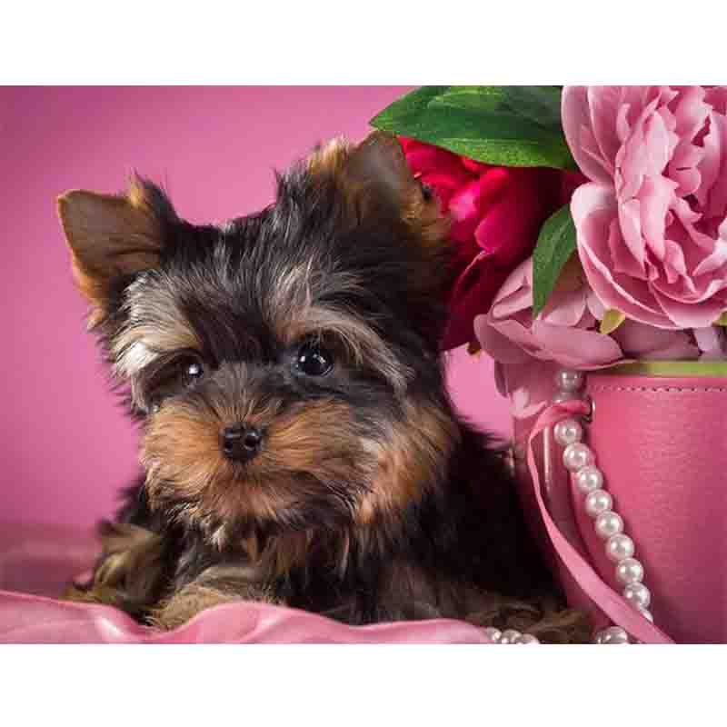 

Полный квадратный/круглый алмазная живопись Щенок Алмазная вышивка распродажа Христос Религия ремесленное украшение для дома