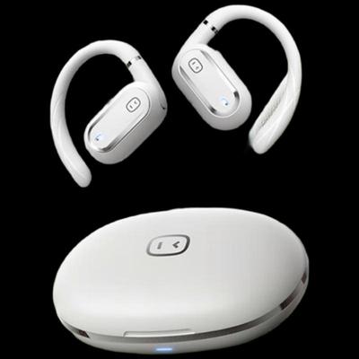 Xiaodu S150 Ear-hook True Wireless Bluetooth Earbuds