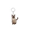 Cute cat keychain, acrylic circular ring accessories, 2D flat double-sided printed pendant