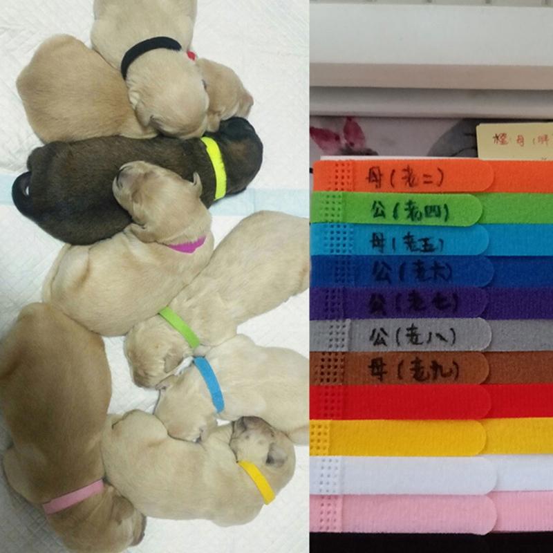 15 Colori Collari per Cuccioli da Parto Collari Identificativi Regolabili per Animali Domestici Fasce Morbide per Cani Neonato per Gatto Gattino 3 Misure