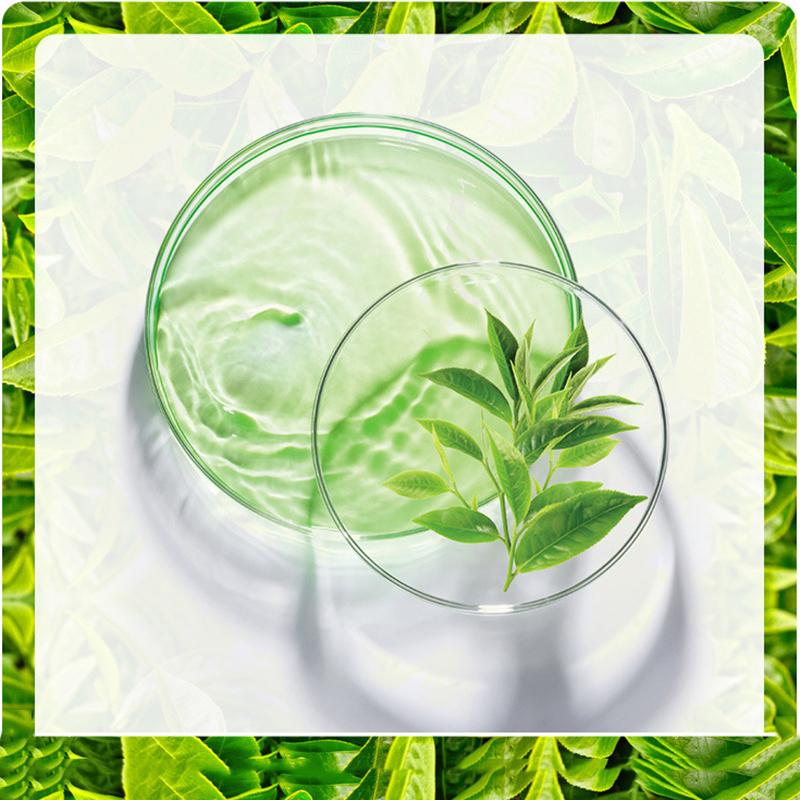 Green Tea Moisturizing Essence Nourishing Rejuvenating Facial Treatment Essence Lotion