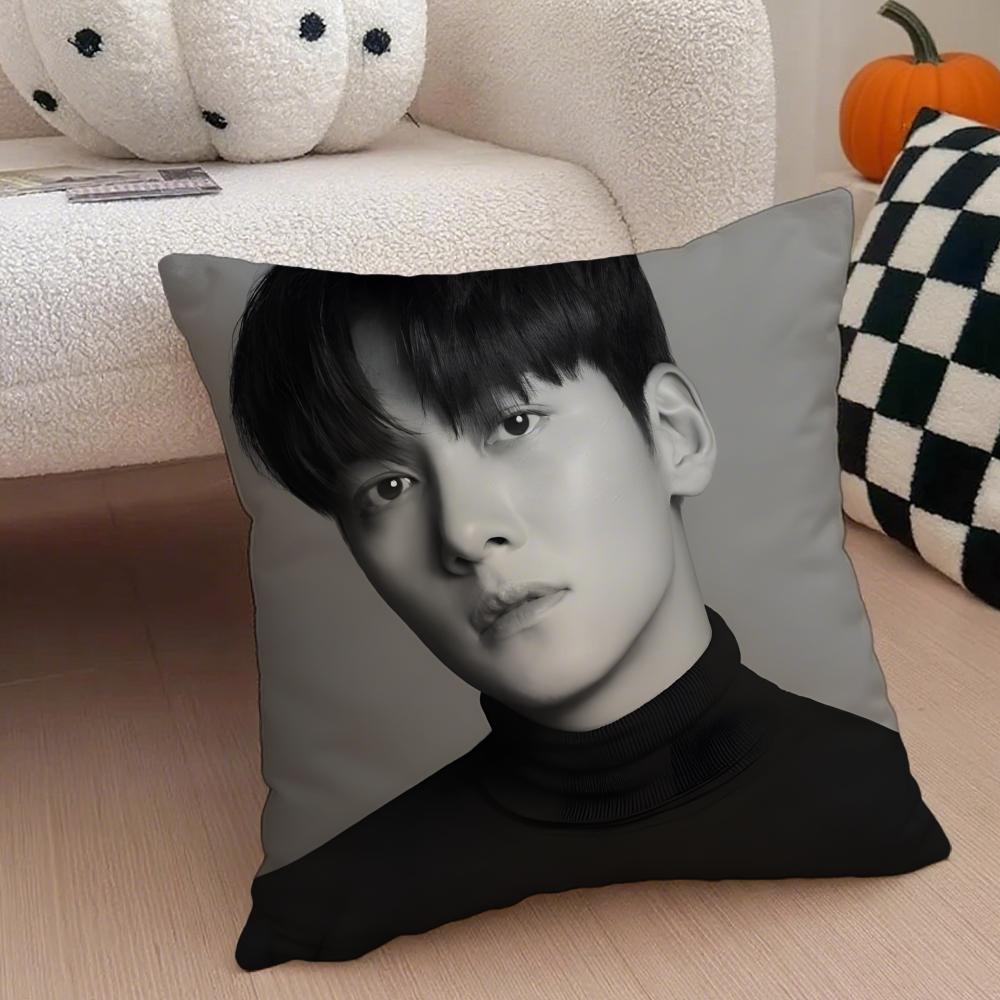 JJi Chang wook Cushion Cover Throw Pillow Cover Hidden Button Durable Polyester Chair Cushion