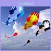 Colorful 3d Soft Cartoon Whale Shape Frameless Kite For Outdoor Sports Fun