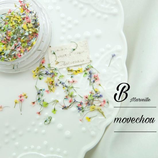Nail Art Flower Decoration Multiple Color Nail Beauty UV Glue Filler Nail Charm Dried Flower Decoration Nail Supplies