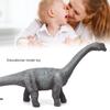 Simulation Saltasaurus Model Ornaments Desktop Decoration Educational Toy