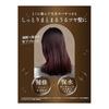 Diane Diane [Large Capacity] Shampoo [Damage Repair] Floral & Berry Scent Perfect Beauty Extra Damage Repair Refill 660ml