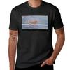 Become Ungovernable T-Shirt aesthetic clothes summer tops vintage men clothing