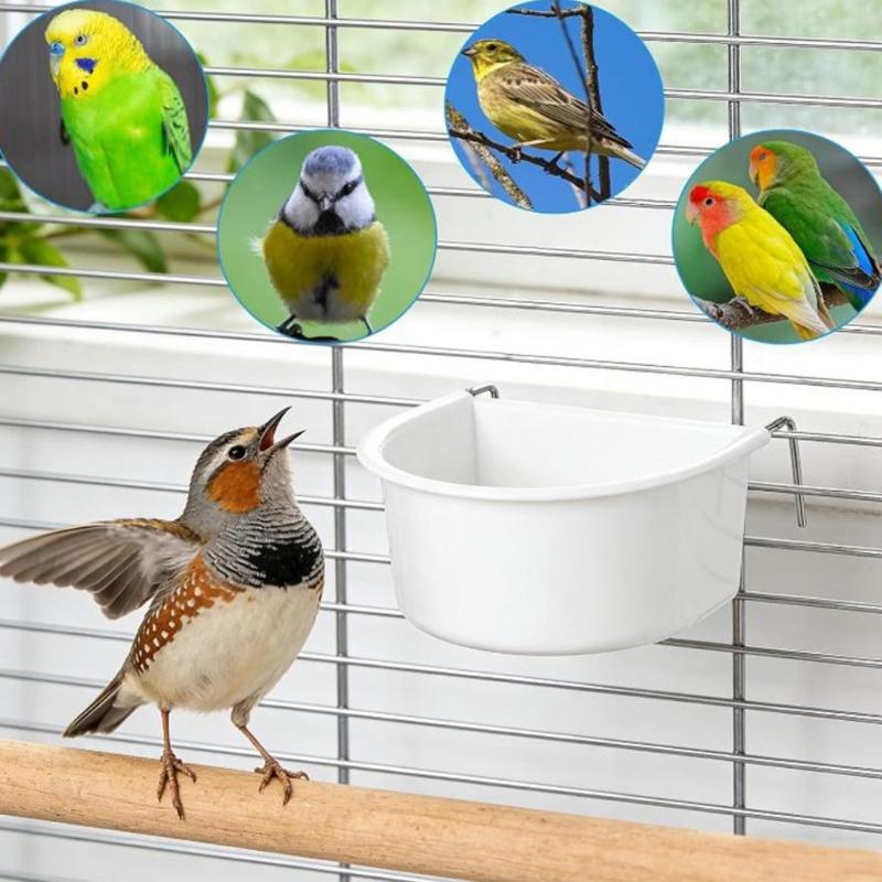 Bird Bowl Training Cup Feeding Bowl Parrots Cage Toy for Cockatiels Budgies Parrots Gym Toy Feeding Cup