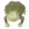 Frog Statue Hand Painted Lifelike Lovely Resin Frog Figure Garden Decor for Backyard Patio Garden