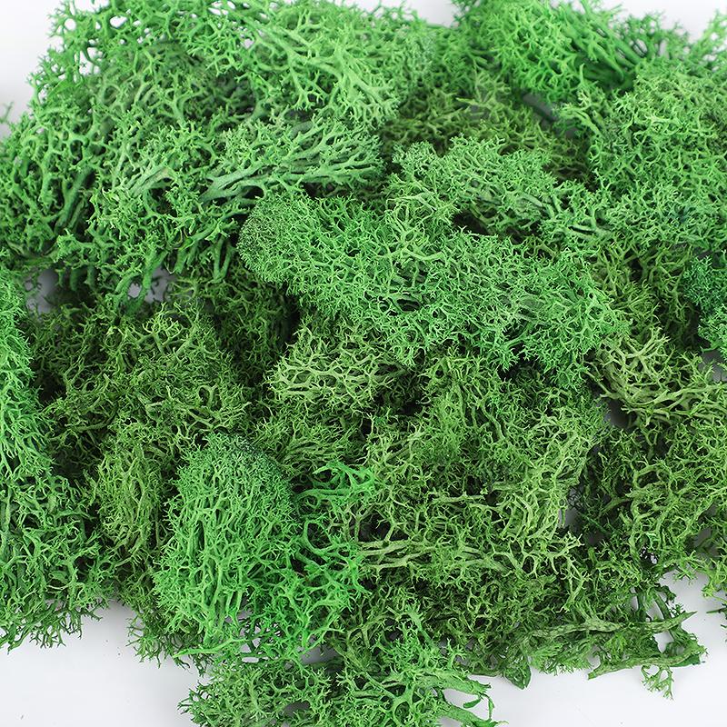 20/40/100g Artificial Green Plants Eternal Life Moss Grass DIY Crafts for Home Garden Room Decoration Mini Landscape Fake Flower