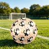 1pc Love Cats Heart Size 5 Soccer Ball Professional Match Training Football Indoor &Outdoor Sports Ball Lightweight Durable M6513