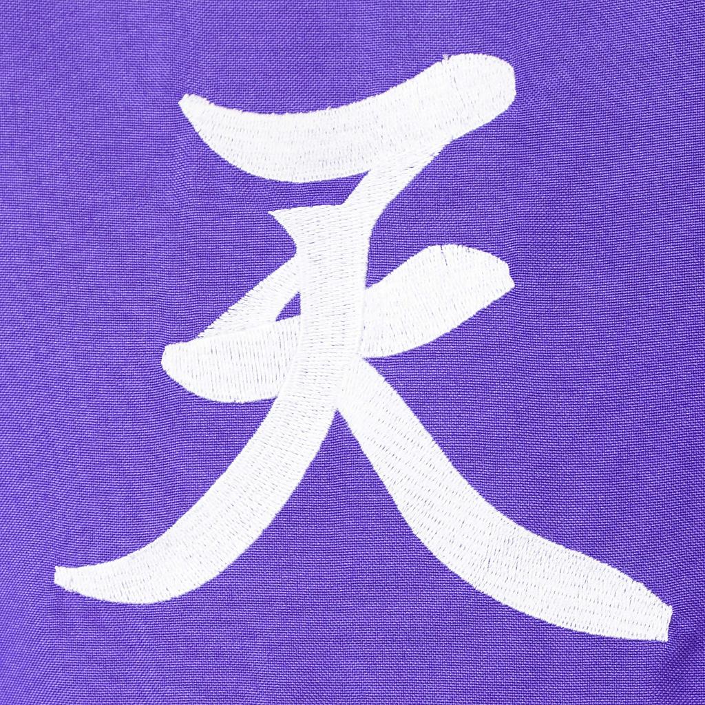 Clearstone Cosplay Halloween Special Attack Clothes Invincible Purple Women's Women's