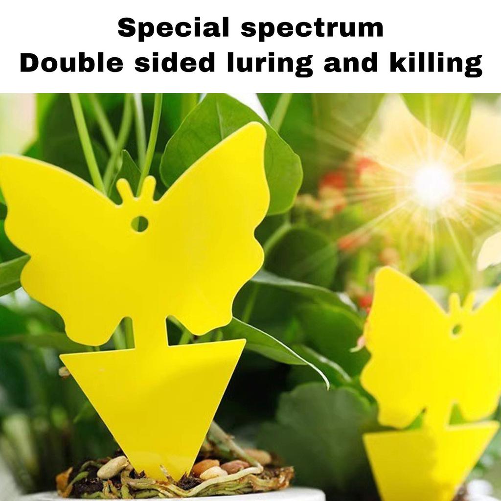 Double Sided Special Shaped Sticky Board Insect Yellow Board Flying