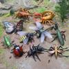 New Simulation Insect Model Figures Plastic Kids Education Toy Dragonfly Grasshopper Animals Model Set Halloween Prank