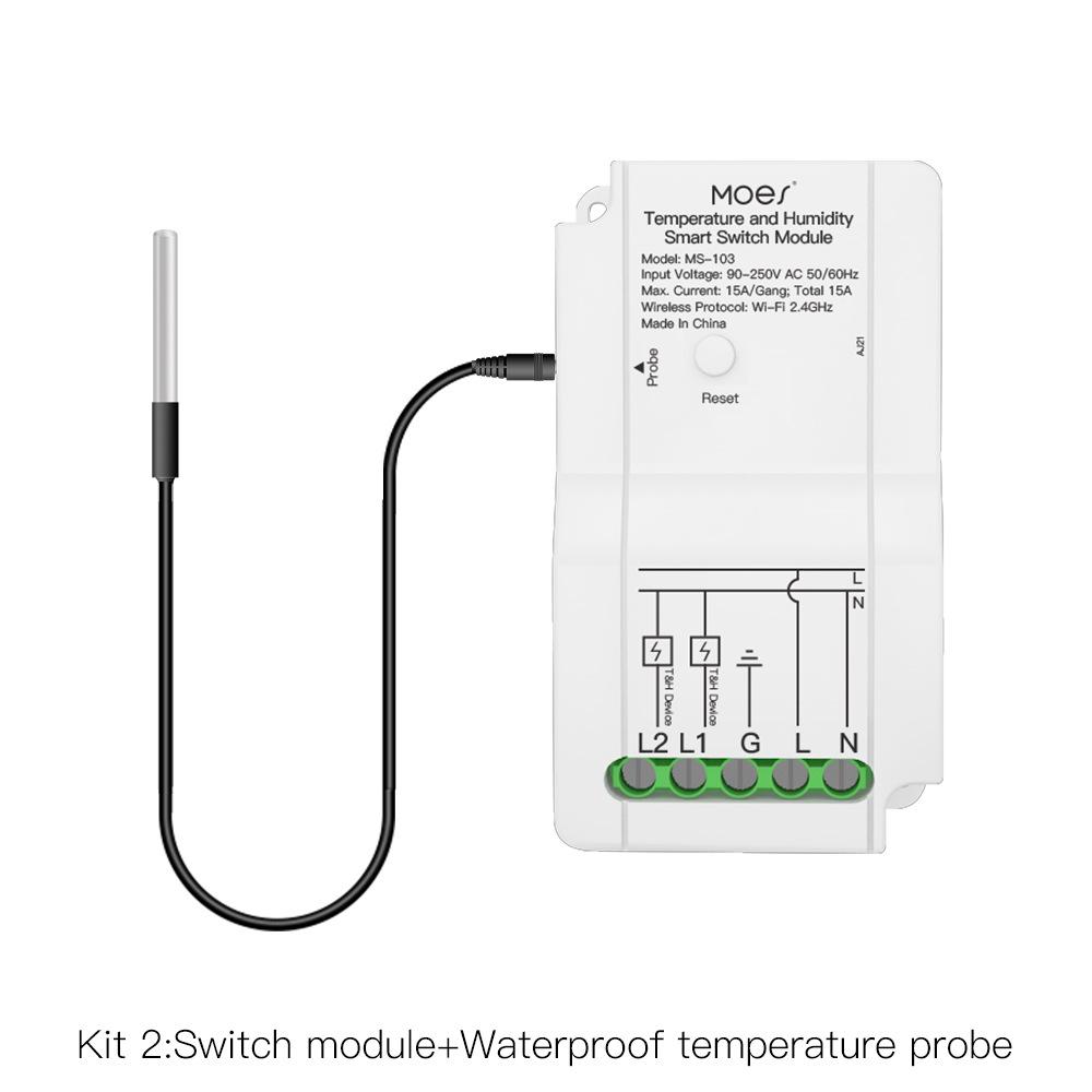 Graffiti WiFi Dual-Channel Temp & Humidity Switch with Timer & Alexa Support