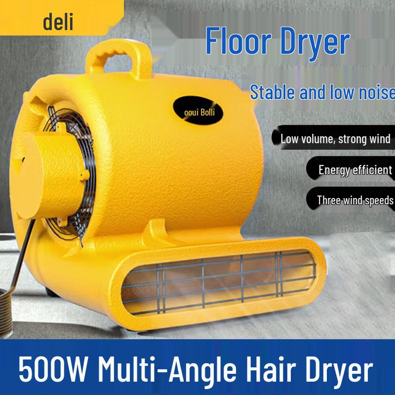 Deli High-Power Floor Blower Dryer CN plug (adapter included)