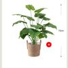 Nordic Style Monstera Faux Plant Arrangement for Living Room Decor