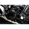 LEDISHUN Engine Engine Engine Guard for Kawasaki and Z900RSCAFE Model Cover, Slider, Z900, Z900RS, (All Years) (Z900RS/cafe, Gold)