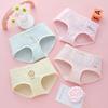 4Pcs Girls Modal Boxer Briefs Cute Cartoon Soft Breathable Kids Underwear M To 4XL