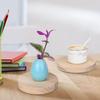 Yangbaga Set of 5 15cm Wood Slices, Unfinished Wood Chips, Round Coasters, DIY Doodles, Wood Pieces, Decorative Wooden Cards, Natural Wood Pendants,