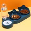 Double Cat & Kitten Food Bowl with Cervical Protection, Anti-Spill Design, and Automatic Water Dispenser for Pets
