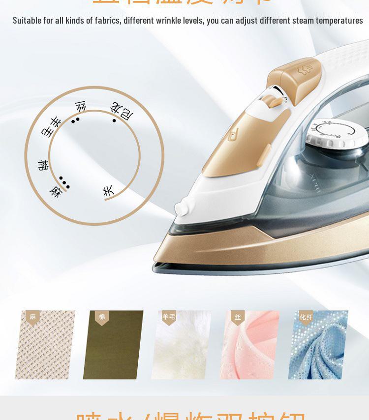 Compact Dual-Use Wet & Dry Electric Steam Iron for Home