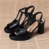 New Style Chunky Heel Sandals for Women, Sheer Toe Shoes, Strap Shoes, High Heels