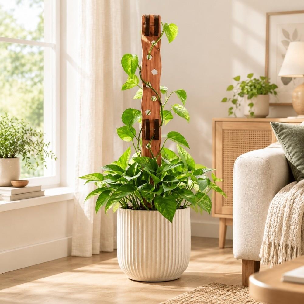 Extendable Plant Support Frame Hollow Out Plant Fixed Frame Plant Stand Indoor