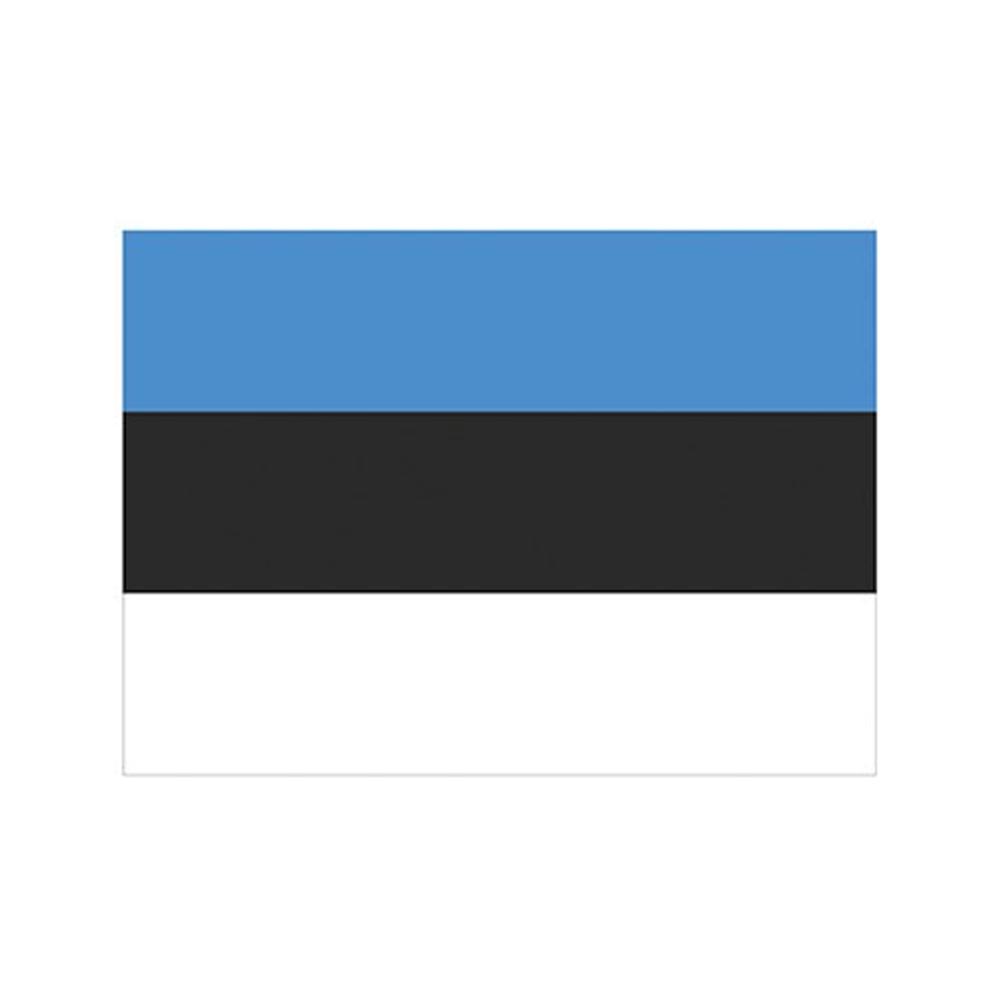 Printwear Estonia Flag