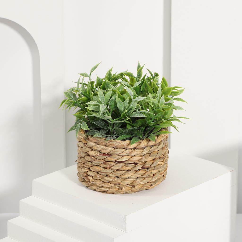 Green Artificial Plants Eucalyptus Grass Woven Small Potted Plants Grass Mound 11cm PE Material Home Decoration
