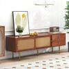 Living Room TV Stand Spacious Countertop Cabinet with 2 Drawers Two Rattan Bedroom Media Console Sliding Doors Metal Legs Furniture