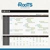 Gosen Roots PE*8 Light Green 200m 0.6