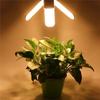 100W 150W 200W AC85-265V E27 Plant Lights Bulb Phytolamp Warm White for Indoor Greenhouse Vegs New Design Full Spectrum LED Grow Light