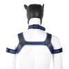 Erotic Adult Toys Set: Dog Headgear, Armband, Chest Strap, Neck Collar, Costume Props