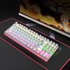 BAJEAL 87 Keys Mechanical Keyboard Wired Gaming Mechanical Keyboard with Mechanical Blue Switch RGB Light Effect White