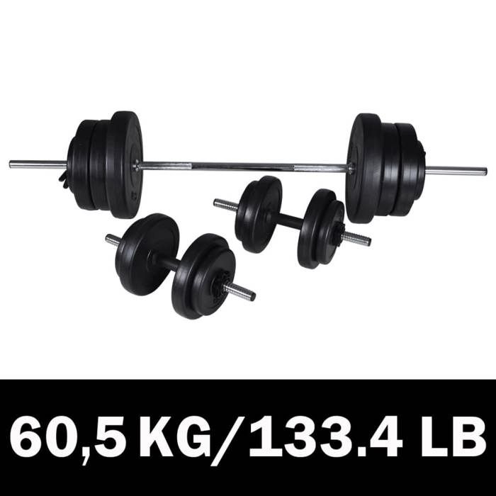 VidaXL Kit de Barre d'Haltère et 2 Haltères Salle de Musculation Gymnase 90375