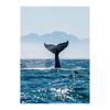 Scandinavian Minimalist Landscape Wall Art Blue Whale Tail Sea Canvas Oil Painting Poster Prints Home Bedroom Living Room Decoration