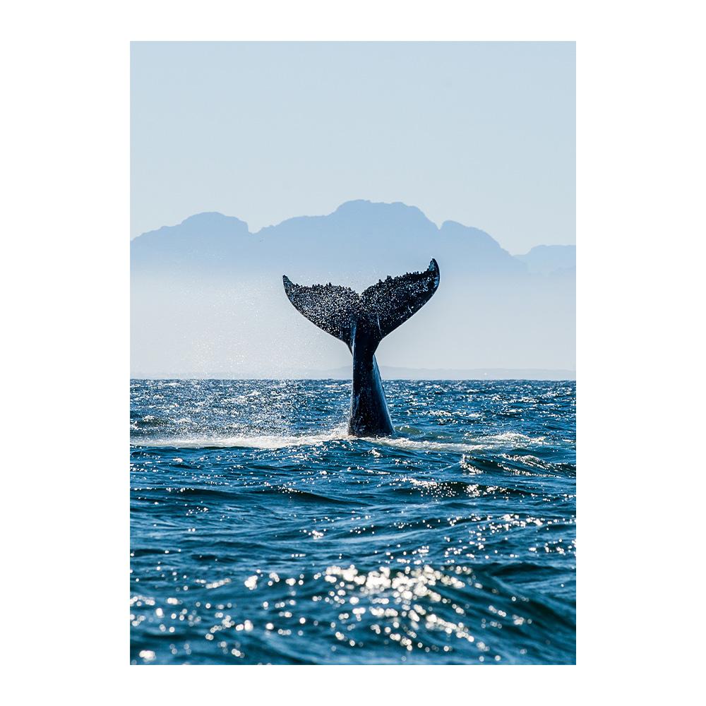Scandinavian Minimalist Landscape Wall Art Blue Whale Tail Sea Canvas Oil Painting Poster Prints Home Bedroom Living Room Decoration