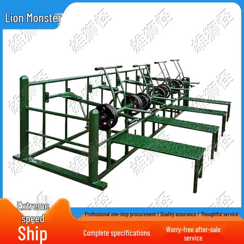 Mighty Lion  Great Wall of Steel  Strength Trainer