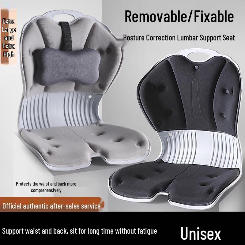 Aige Ergonomic Lumbar Support Cushion